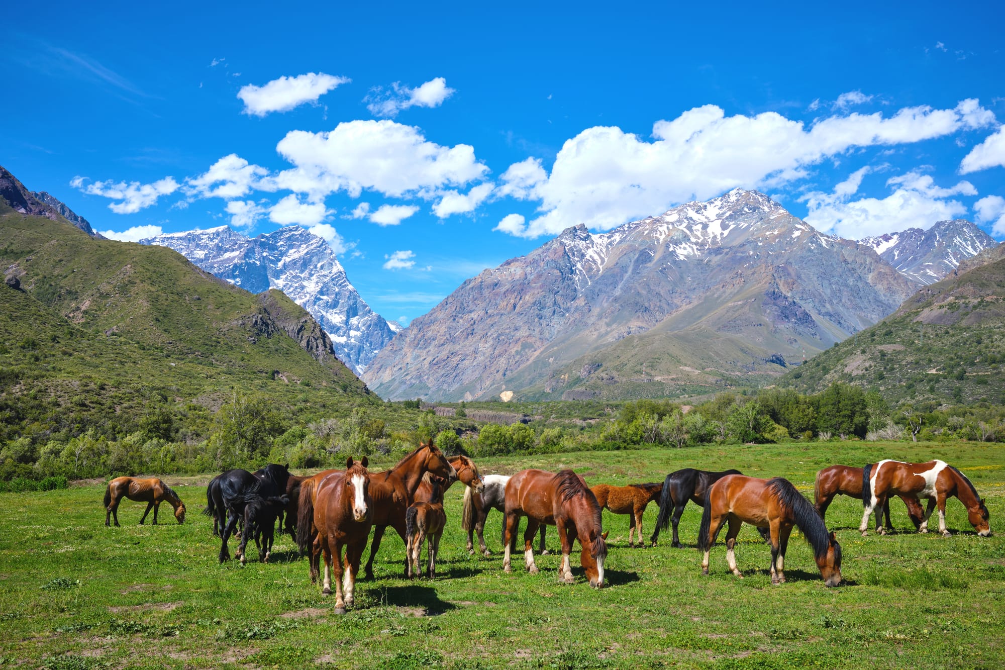 Sorry! Image not available at this time