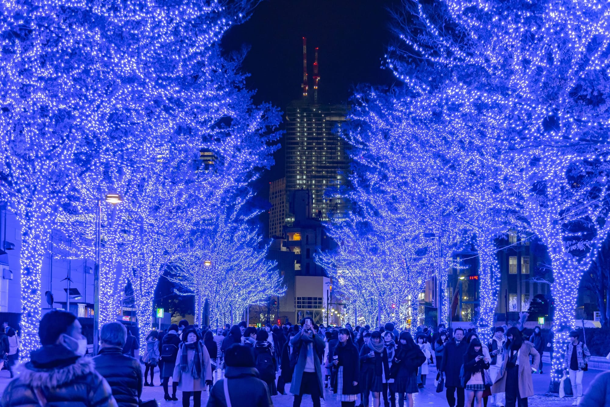 Árboles cubiertos de luces azules en una avenida de Tokio