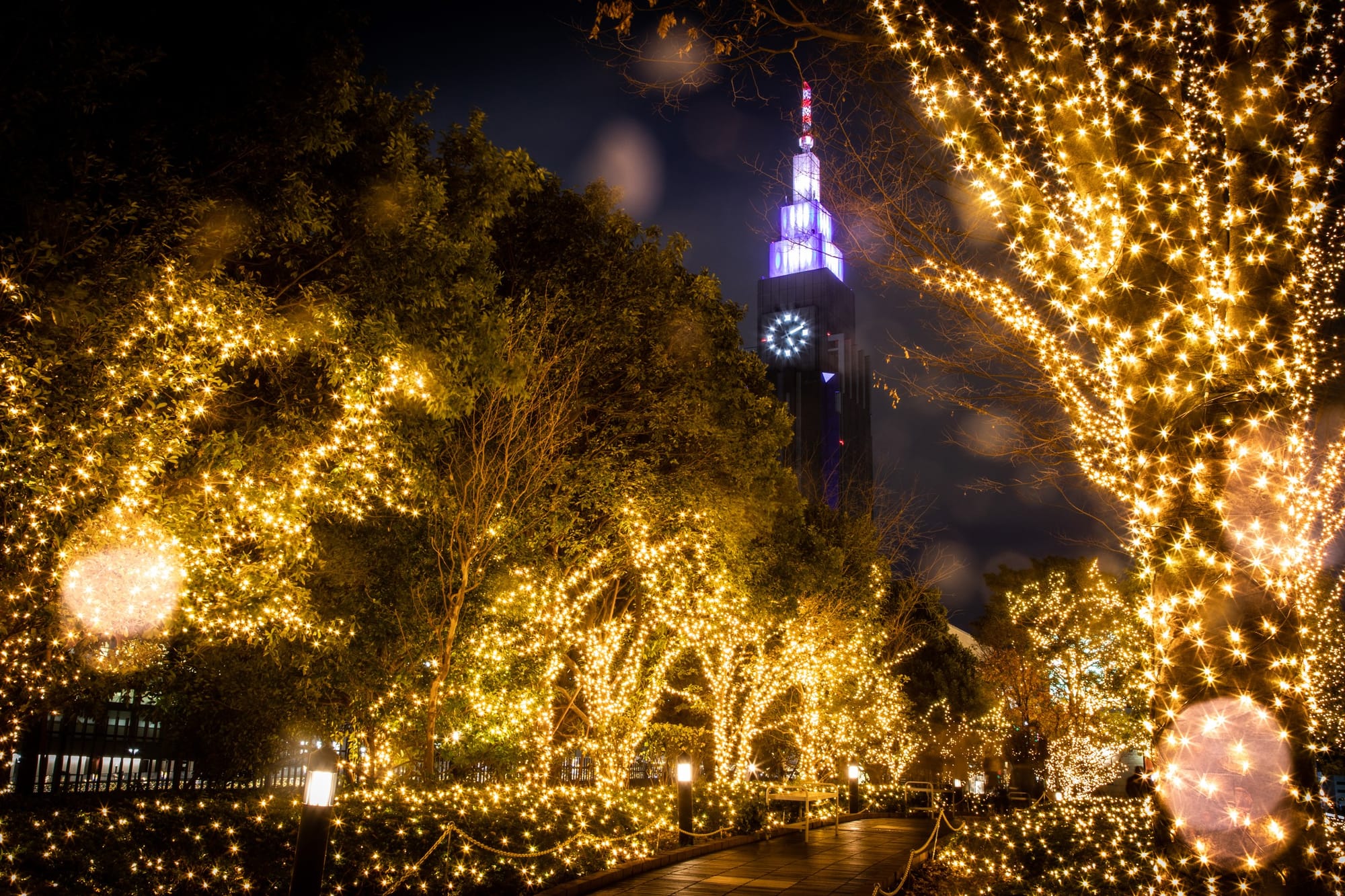 Árboles iluminados con luces doradas y una torre al fondo de la calle