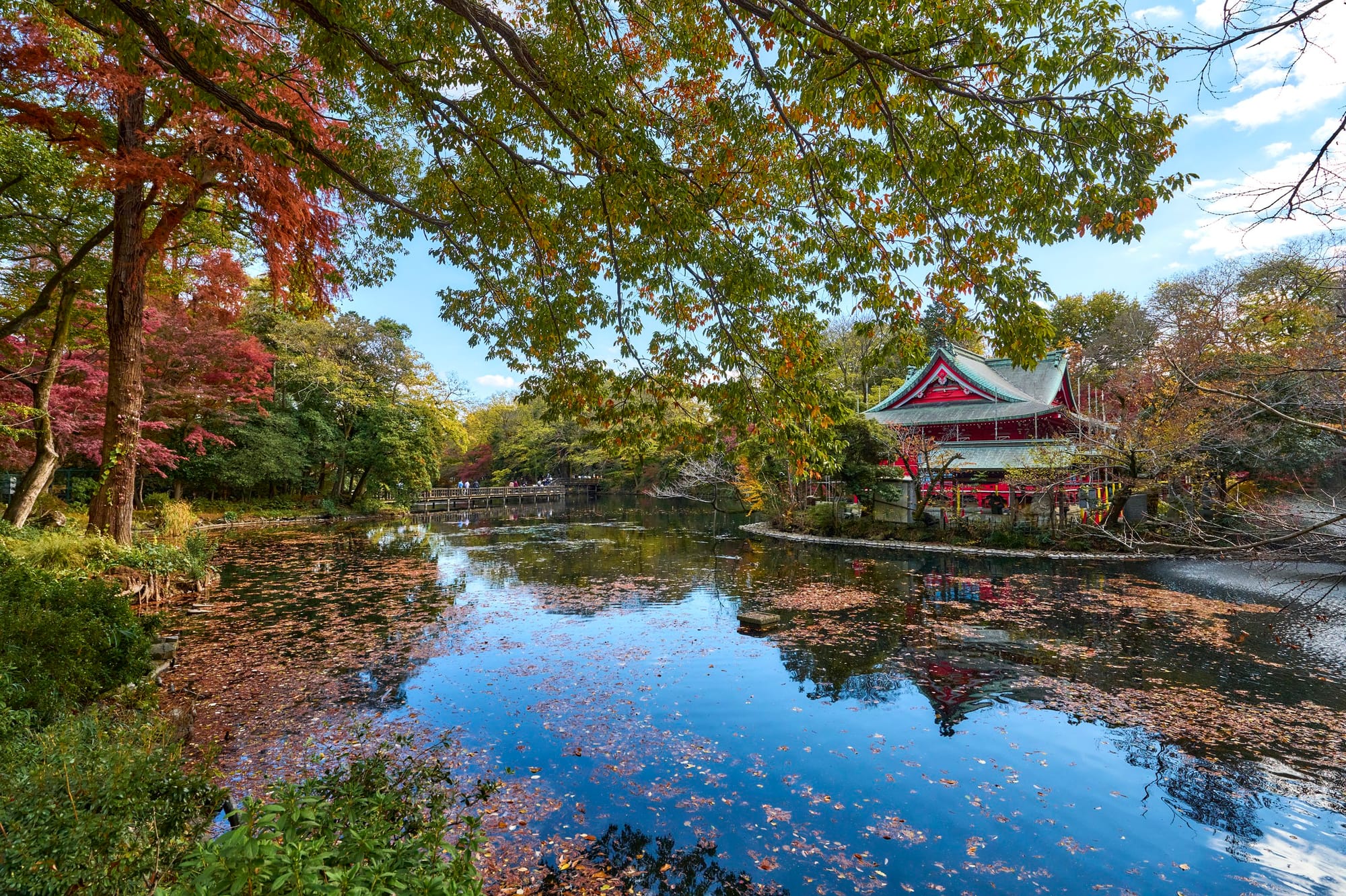 El estanque del parque Inokashira entre árboles y un edificio de tejado rojo