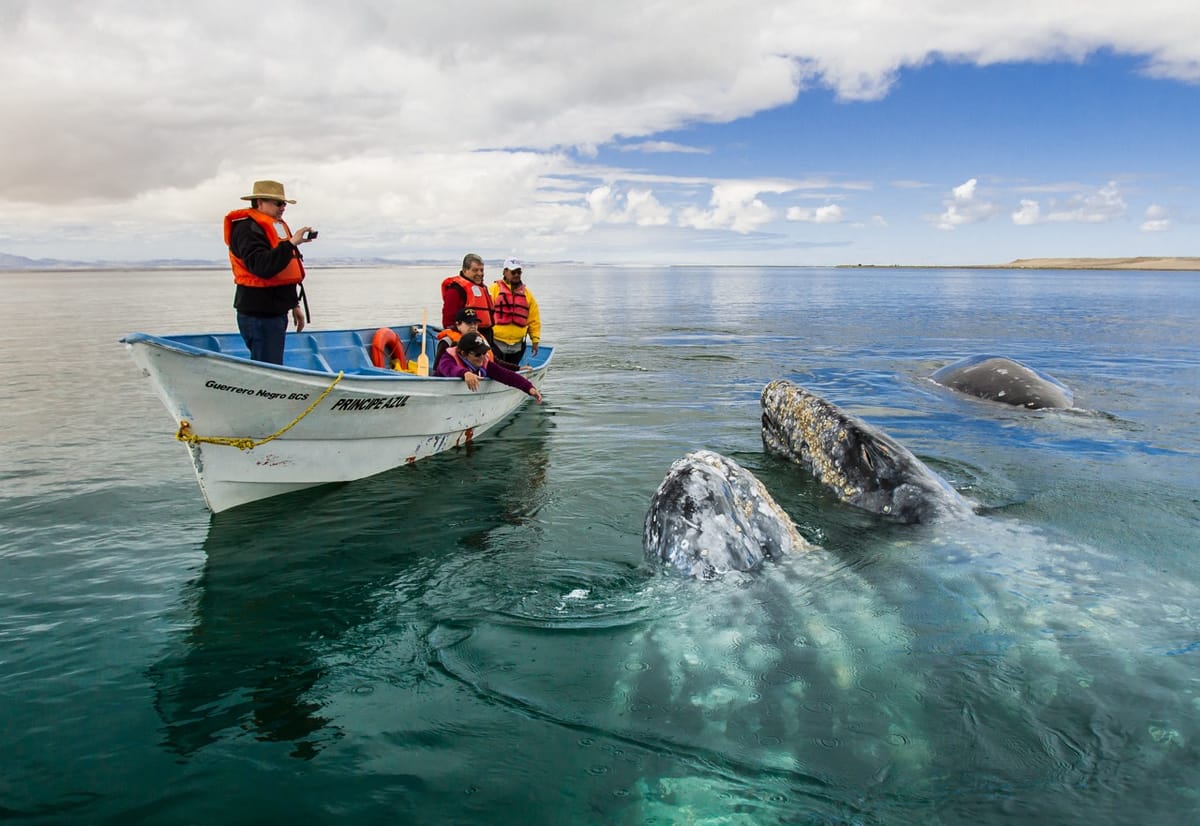 Loreto, el tesoro escondido de Baja California Sur se promociona en FITUR