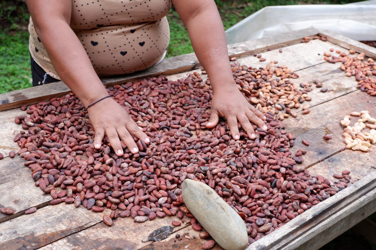 Descubriendo la cultura bribri en Costa Rica: tradición y naturaleza