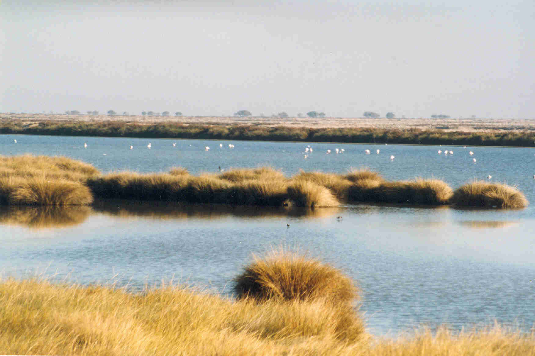 Un recorrido por los humedales más bonitos de España
