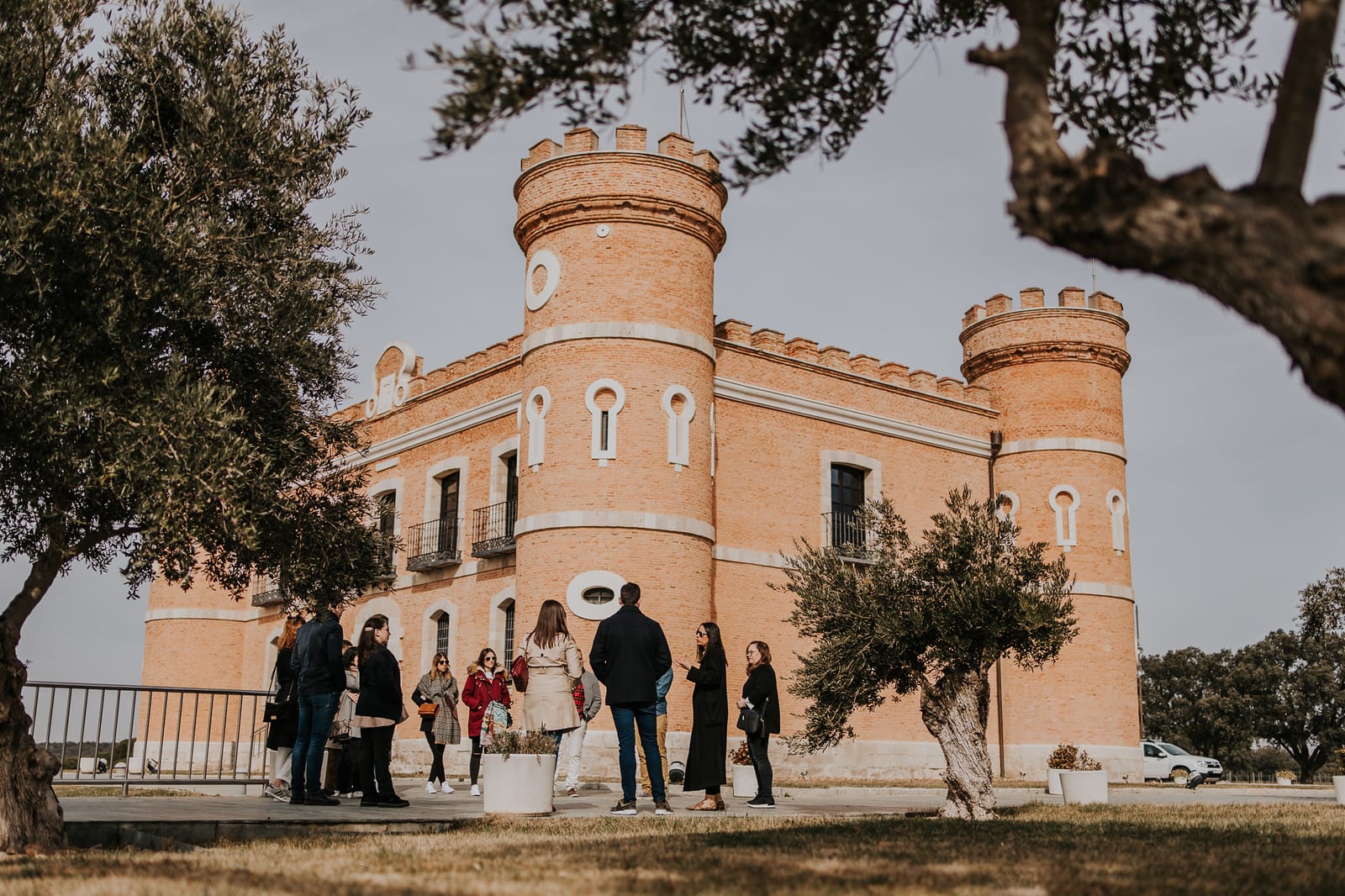 Monte la Reina: enoturismo y viñedos centenarios en Toro