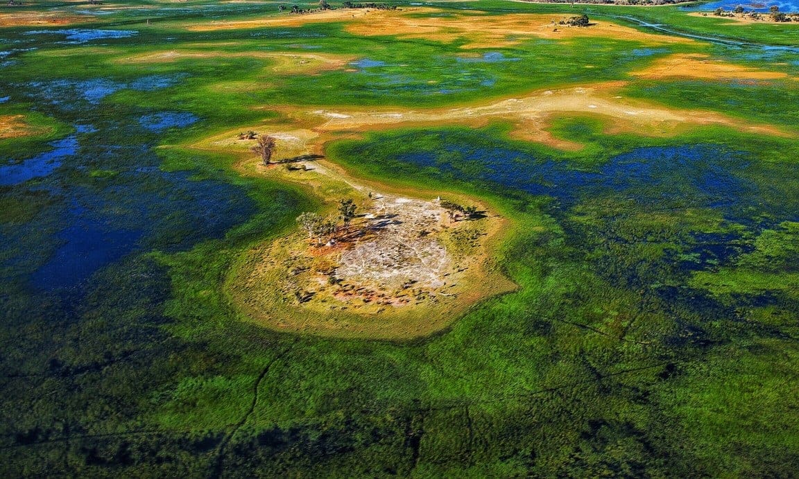 Delta del Okavango
