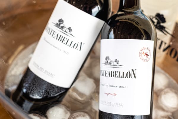 La Gymkana enoturística de Monteabellón: Innovación y tradición se juntan en Nava de Roa