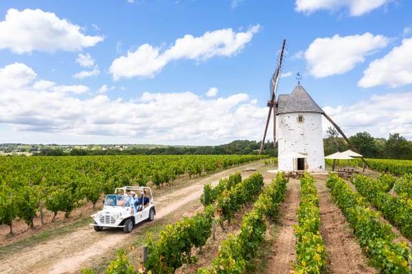Jasnières y Fiefs Vendéens: los vinos inesperados del Loira