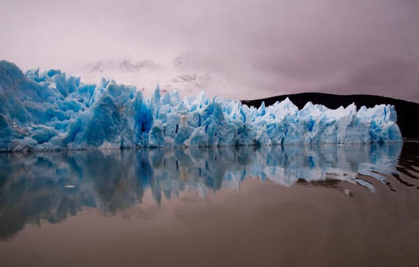 Patagonia en equilibrio: la intimidad de lo indómito