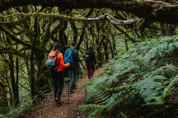 El ecoturista español gasta 179 euros al día y visita espacios naturales más de dos veces al año