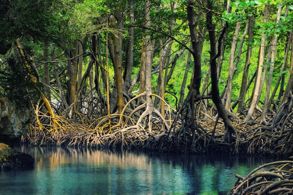 Las mejores excursiones en República Dominicana