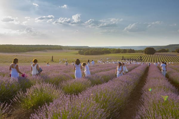 Brihuega, el pueblo de la lavanda esconde muchas más sorpresas