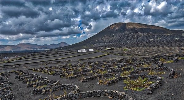 Descubriendo el vino de Lanzarote