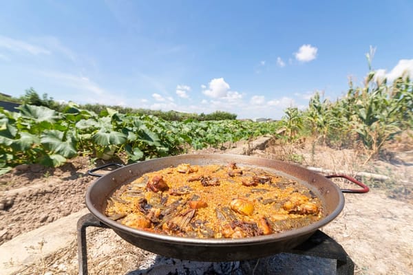 Descubriendo la historia de la paella