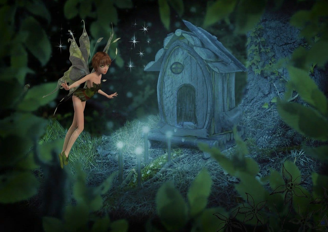 Fairy