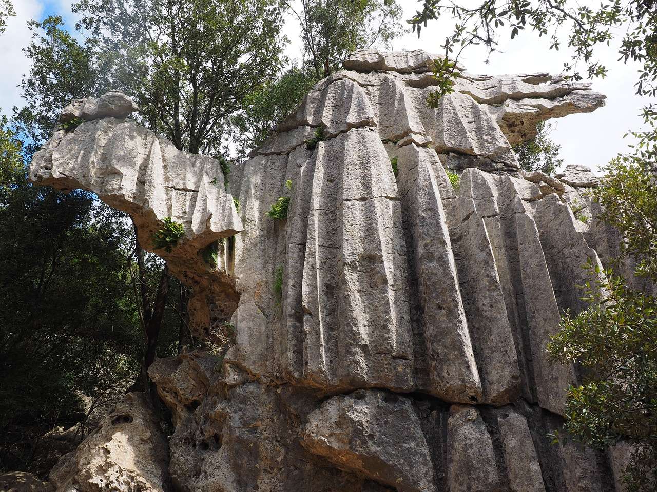 rocas