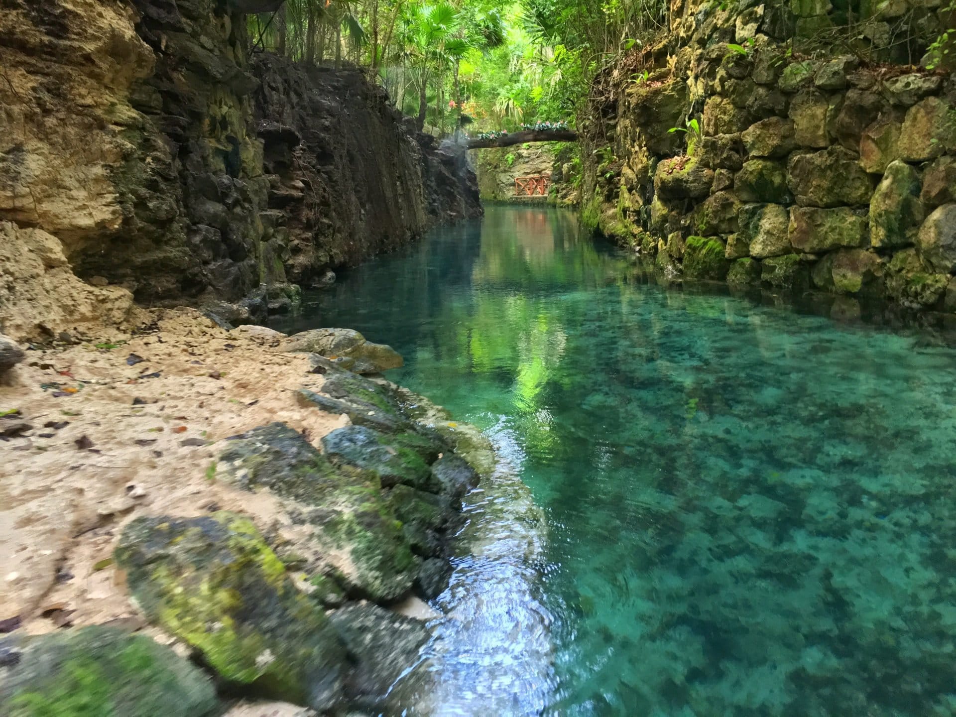 los mejores cenotes de cancun y riviera maya